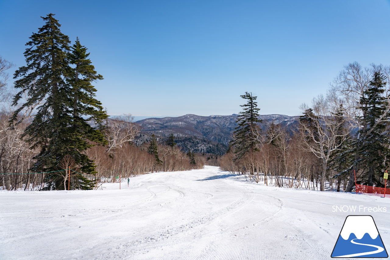 札幌国際スキー場｜ゴールデンウイーク初日も全コース滑走可能OK！！真っ白な雪と澄んだ青空 ＝ 絶好の春スキー＆スノーボード日和♪そして、日本海の彼方に、なんと利尻富士が見えた？！